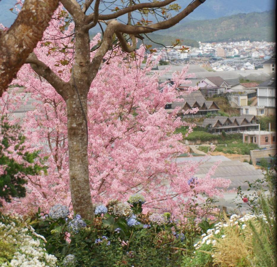 Mon Bac Home Da Lat Eksteriør billede